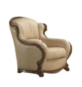 Stylowy Fotel Sat Exodus