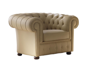 Stylowy Fotel Sat Eva 