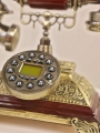 Stylowy Telefon Delhi