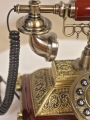 Stylowy Telefon Delhi