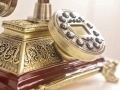 Stylowy Telefon Delhi
