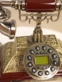 Stylowy Telefon Delhi