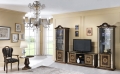NEW-VENUS WALNUT-GOLD WALL UNIT